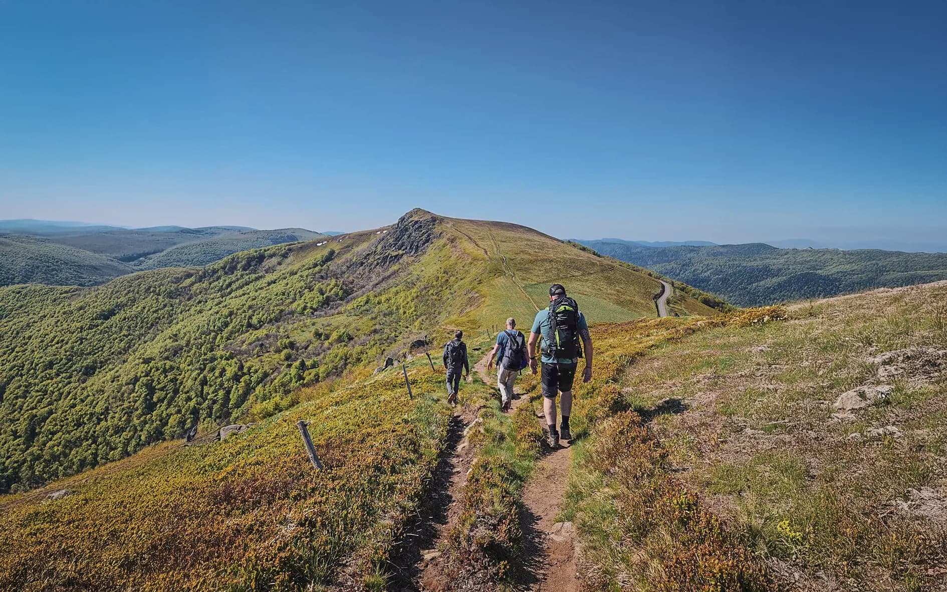 Quatre randonneurs explorent la grande crête des Vosges, entourés de paysages verdoyants.
