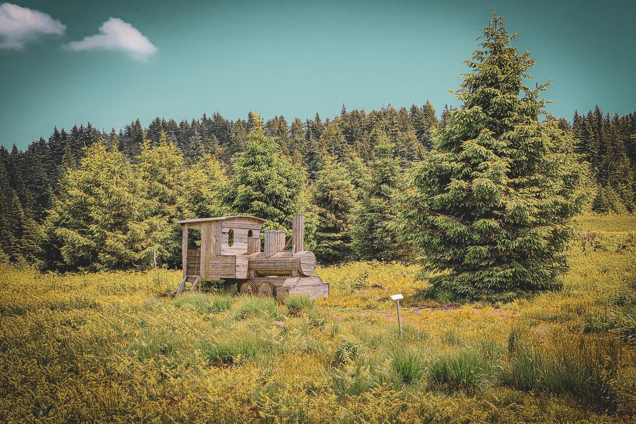Une locomotive en bois surplombe un champ verdoyant, entouré de sapins majestueux.