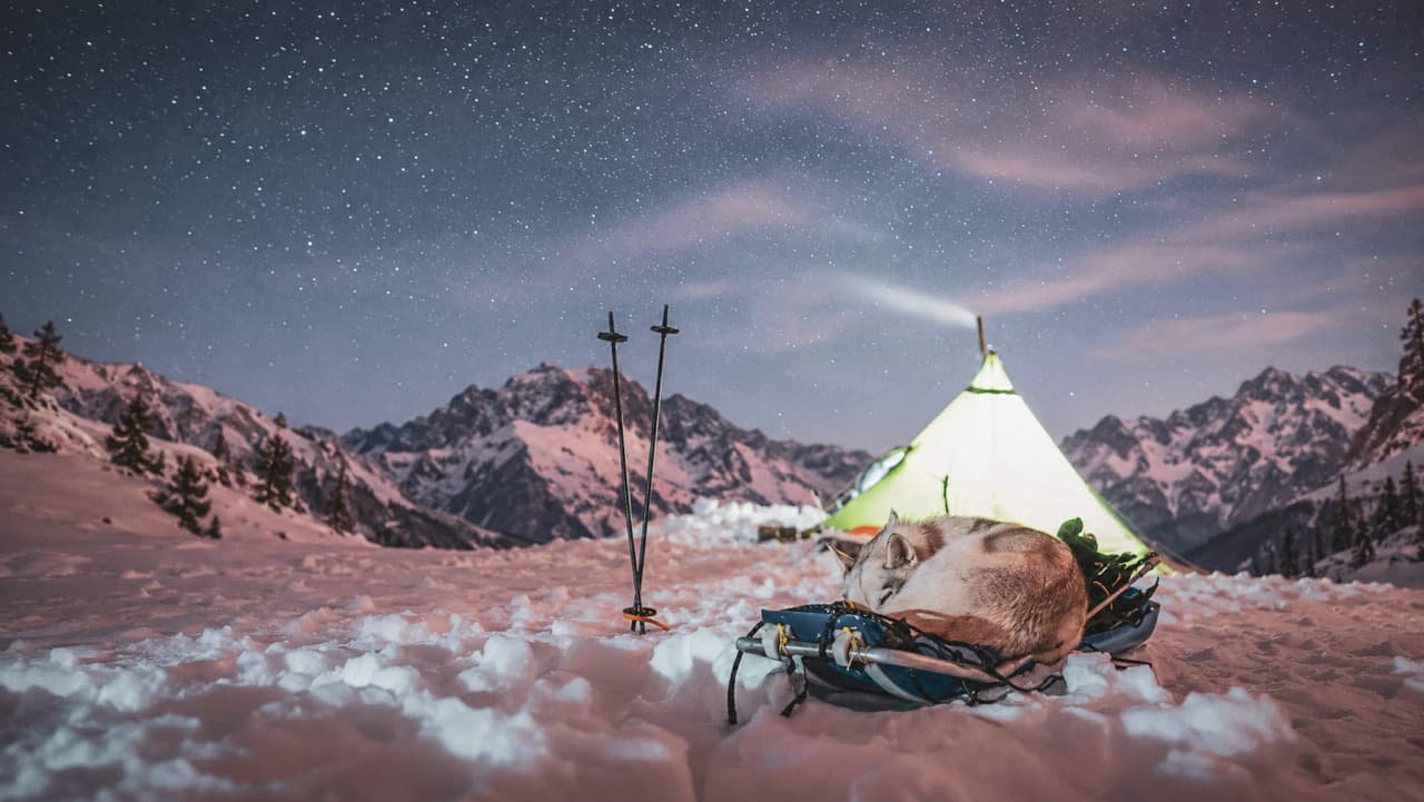 Een sterrenhemel boven de bergen, een verlichte tent en een hond die in de sneeuw ligt te slapen. Een magisch avontuur!