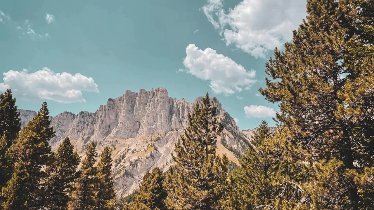 Majestic view of Mont Aiguille, surrounded by pine trees, under a blue sky dotted with clouds.