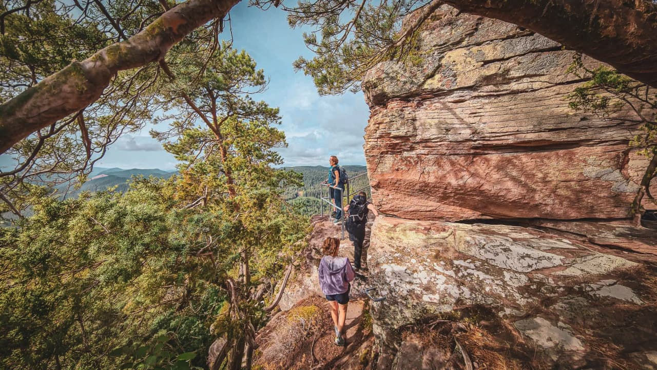 Three hikers explore a forested valley, admiring the rocks and surrounding nature.