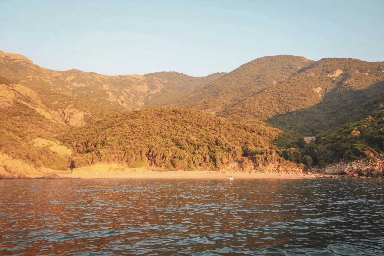 Paysage côtier en Corse : montagnes verdoyantes, eaux calmes et plage tranquille au crépuscule.
