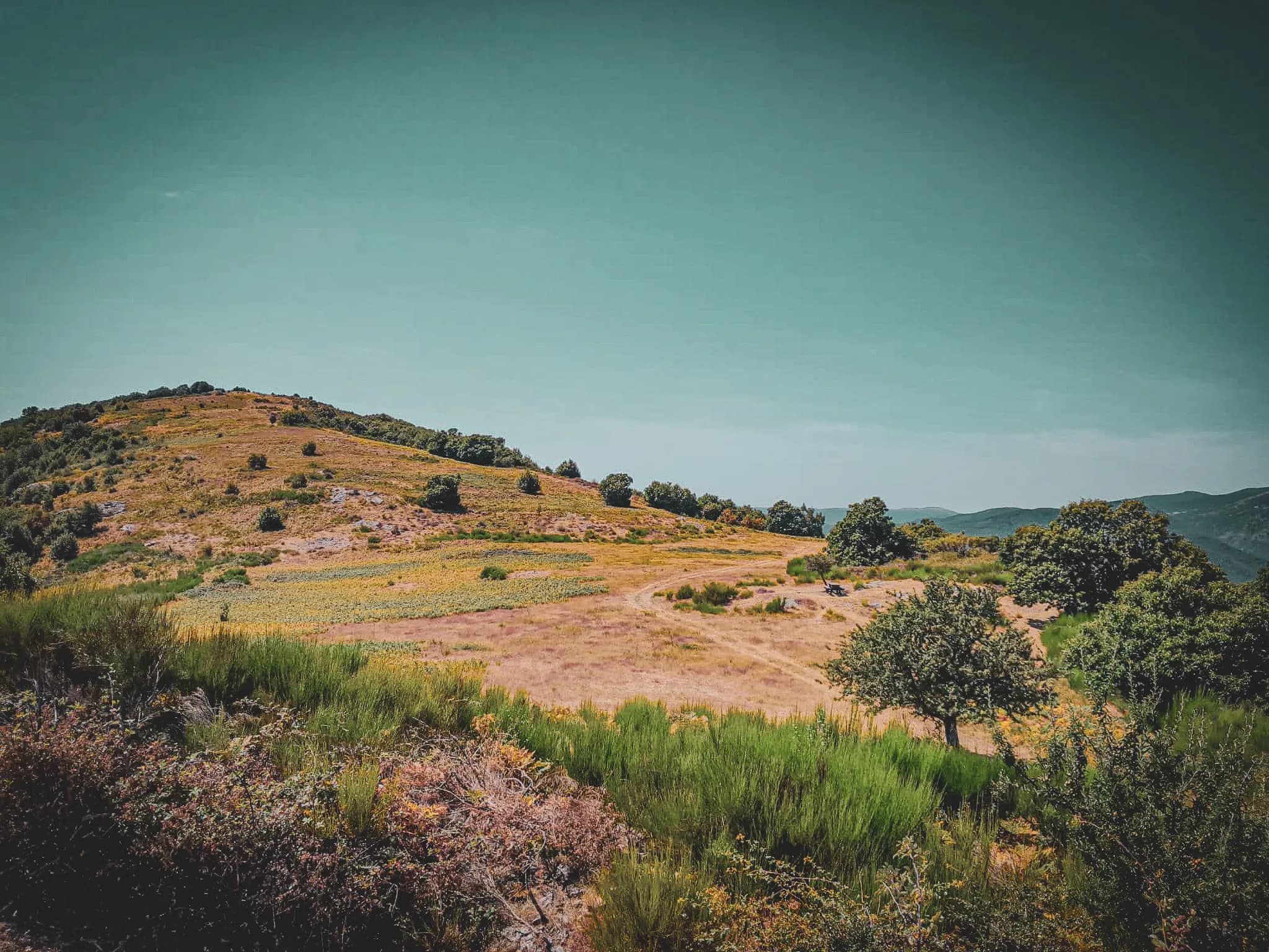 An undulating landscape in autumnal hues, with gentle hills covered in greenery and dry grass. Trees dot the terrain, while areas of yellow and green fields stand out.