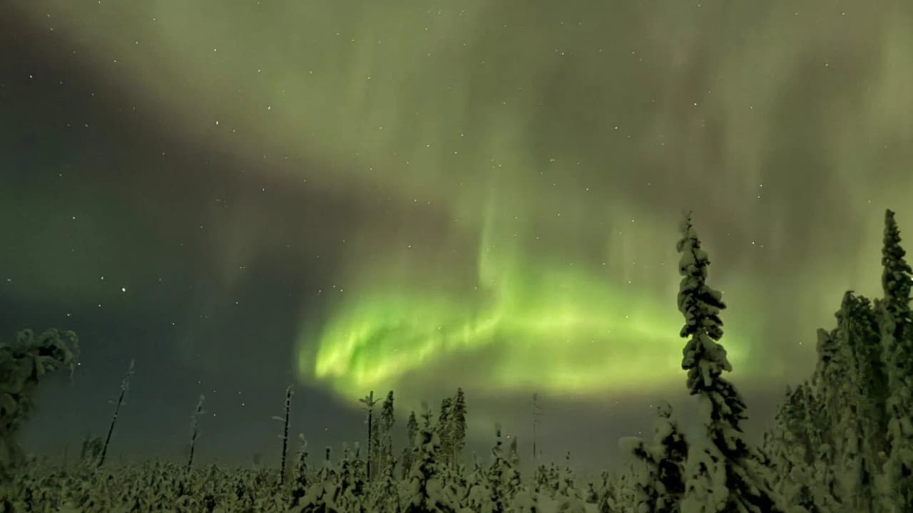 Northern lights illuminating the sky above a snow-covered forest in Finnish Lapland.