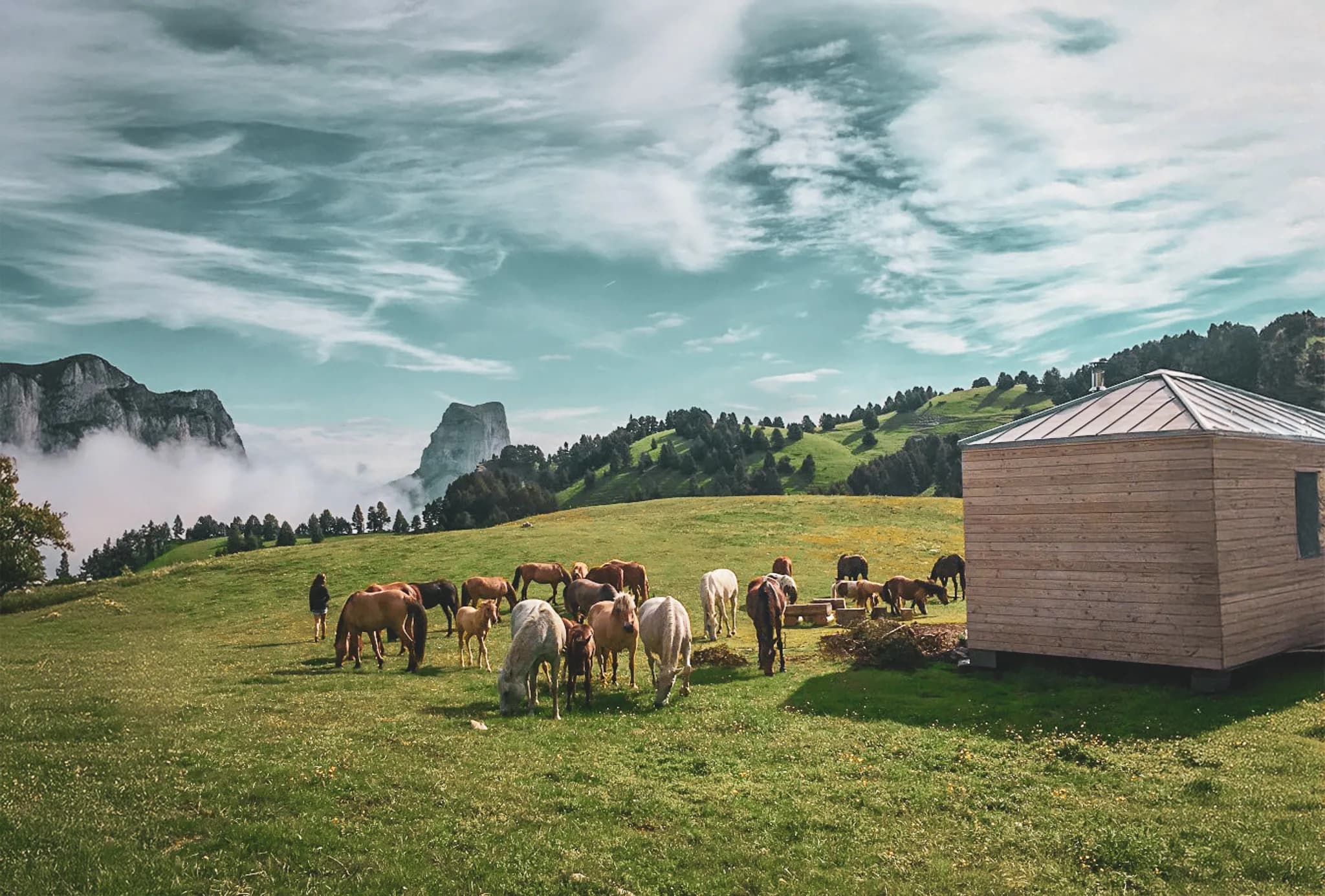A verdant rural landscape with horses grazing freely on a vast meadow. To the right, a small wooden hut rises up, while in the background, gentle hills and mountains emerge beneath the horizon.