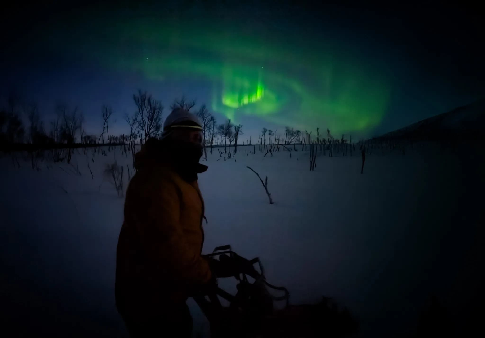 A man in an orange down jacket stands in a snowy landscape, under a night sky illuminated by green northern lights. In the background, bare trees stand against the sky.