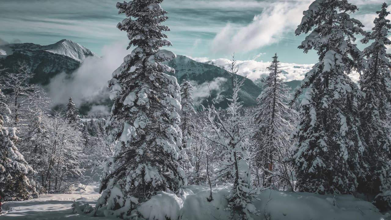 Forêt enneigée des Bauges, panoramas alpin sous un ciel lumineux, invitation à l'évasion.