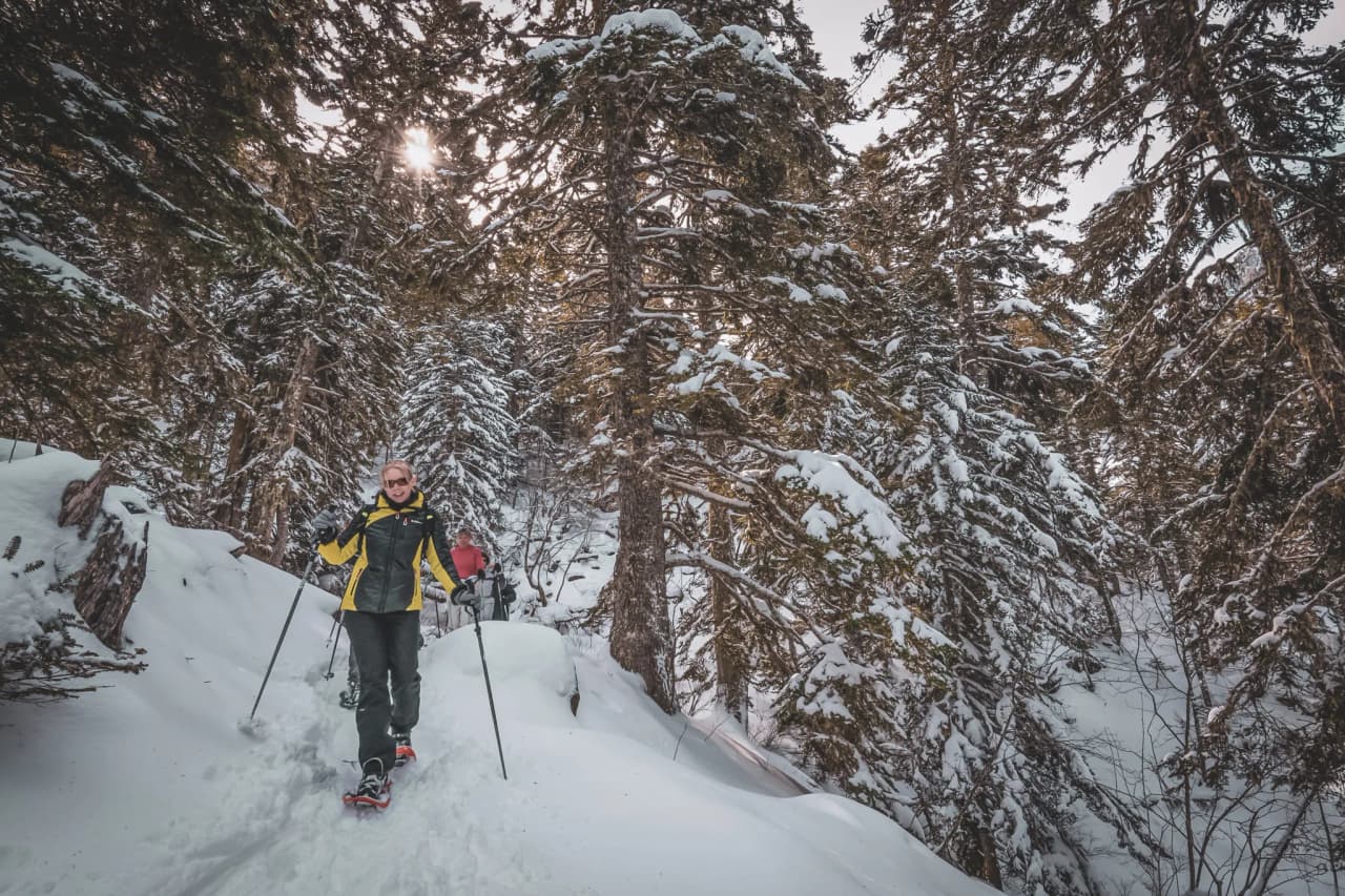 Snowshoe hiker advancing through a snow-covered forest in the Pyrenees, under a gentle sun.