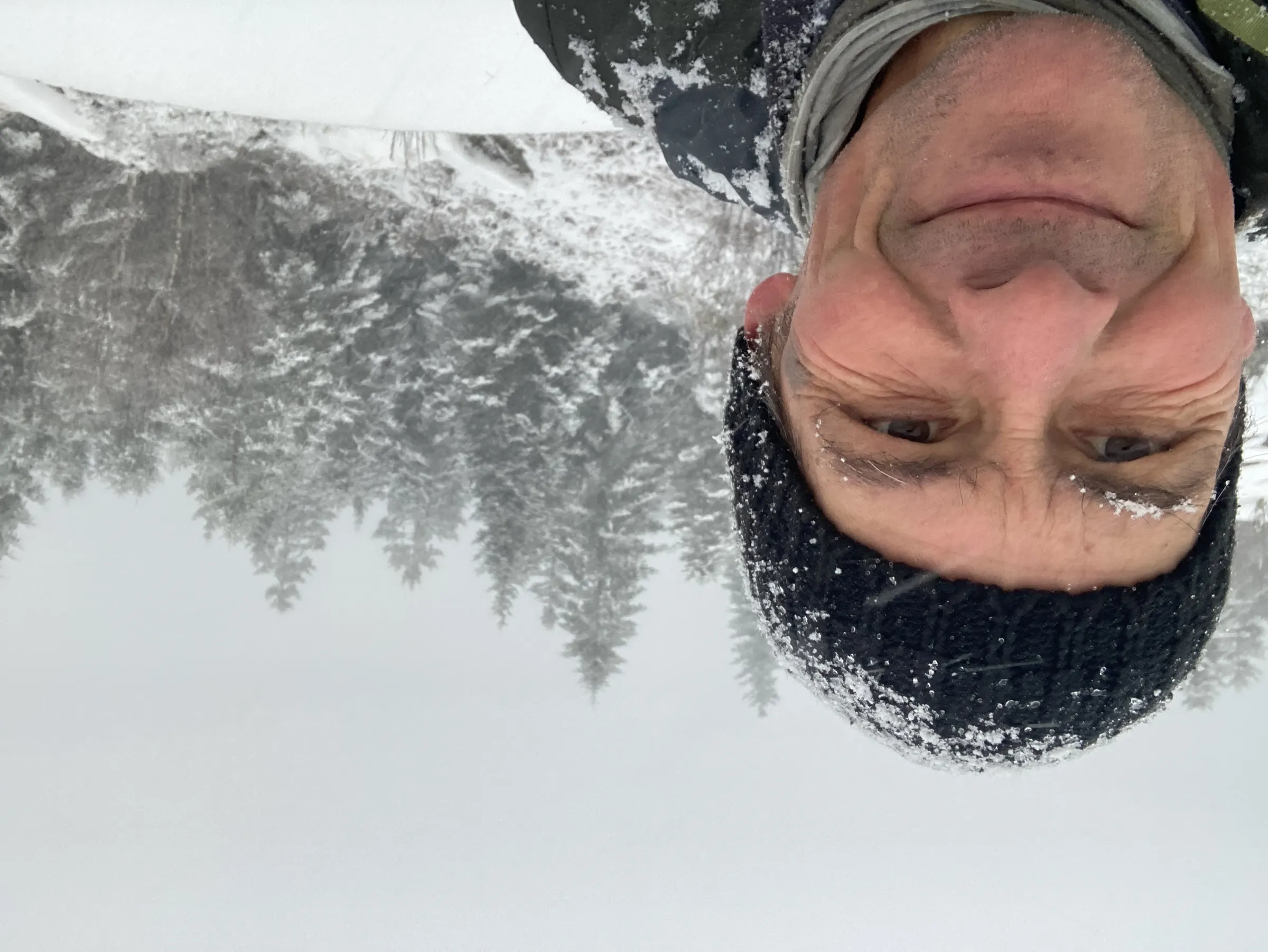 Bruno - Wildhartt - Bergwandelgids