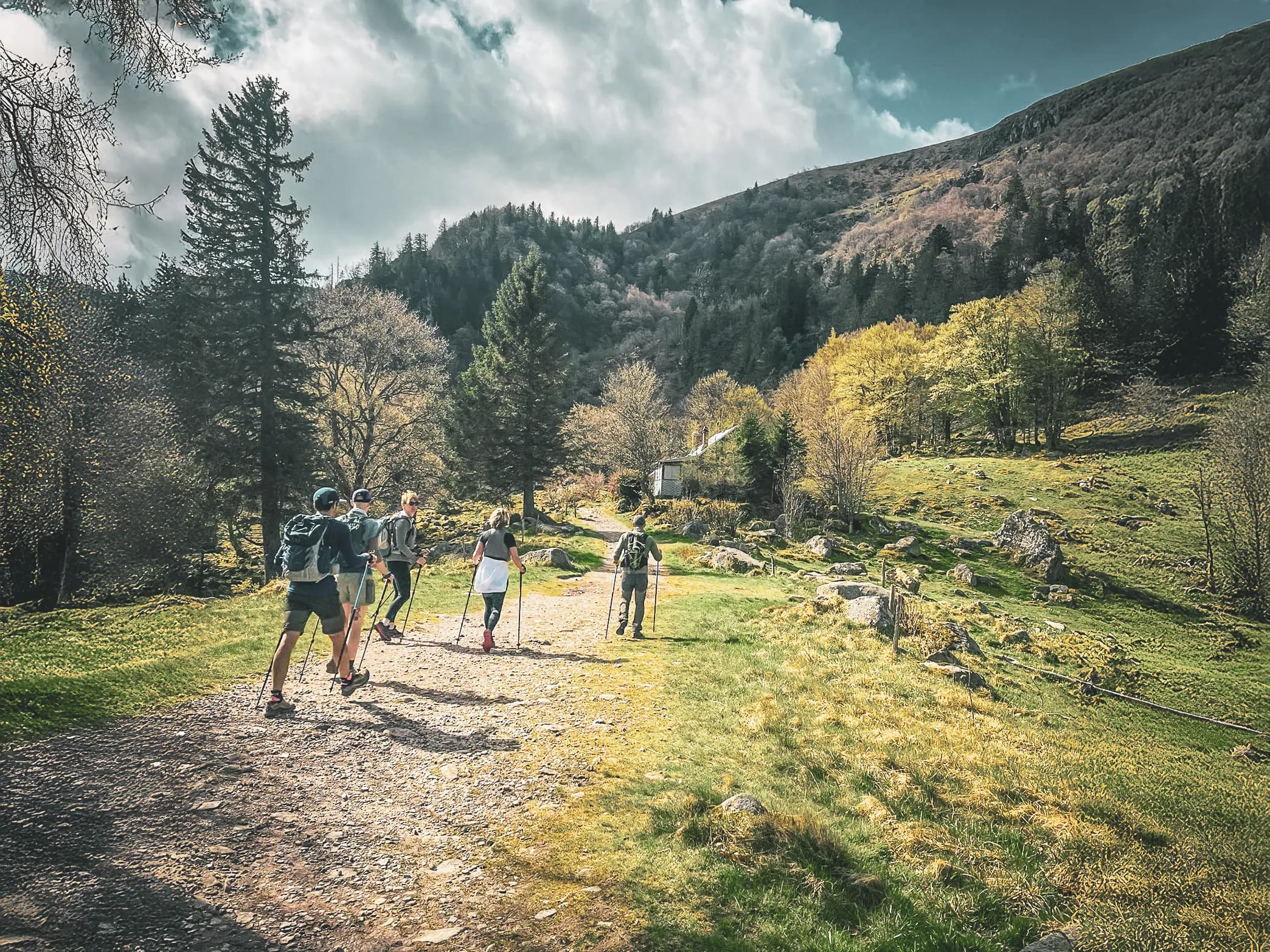 A group of hikers in the Vosges, on a green trail under a cloudy sky.