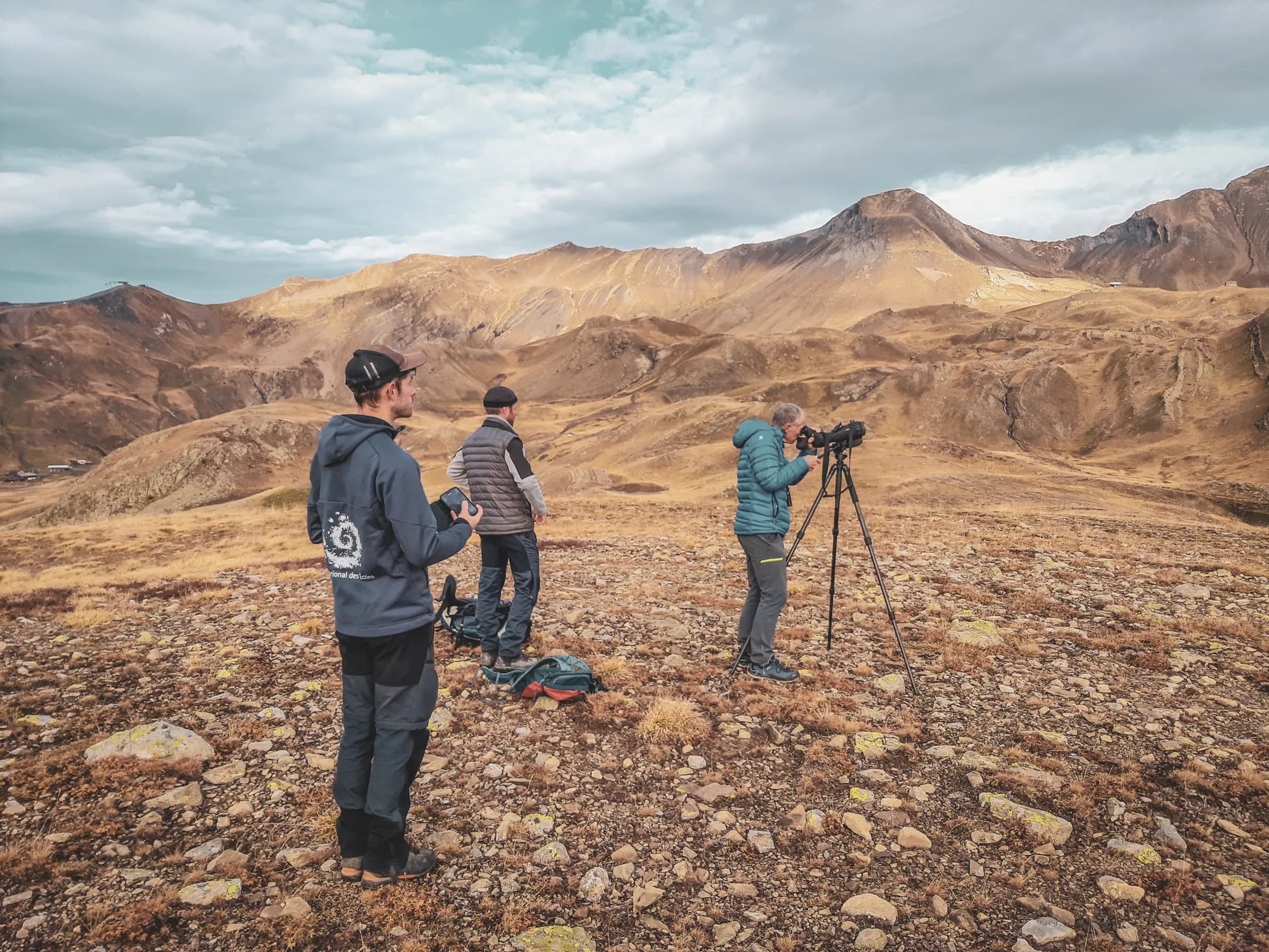 A group of observers out in the wild, scanning the golden mountains of the Écrins.