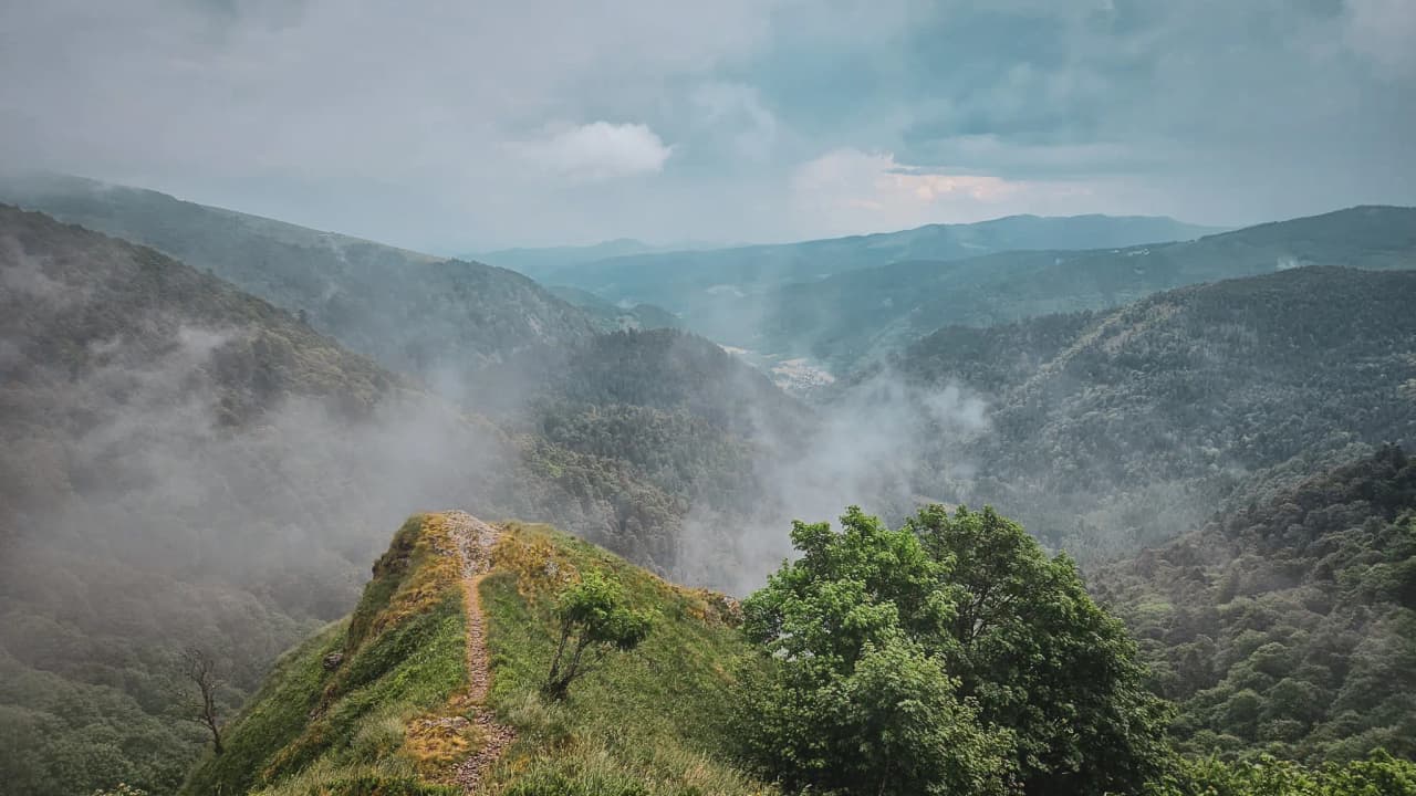 A green panorama of the Vosges, between gentle hills and brilliant blue skies. A call for adventure!