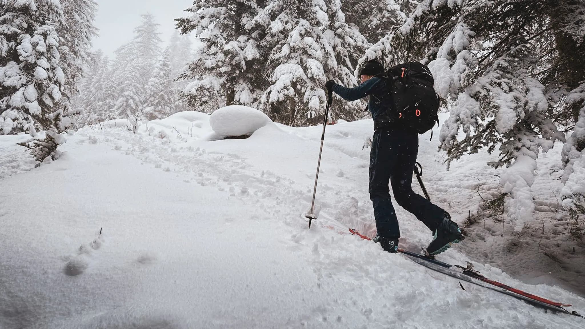 Skieur en randonnée, évoluant dans un paysage enneigé et paisible du Queyras, arbres couverts de neige.