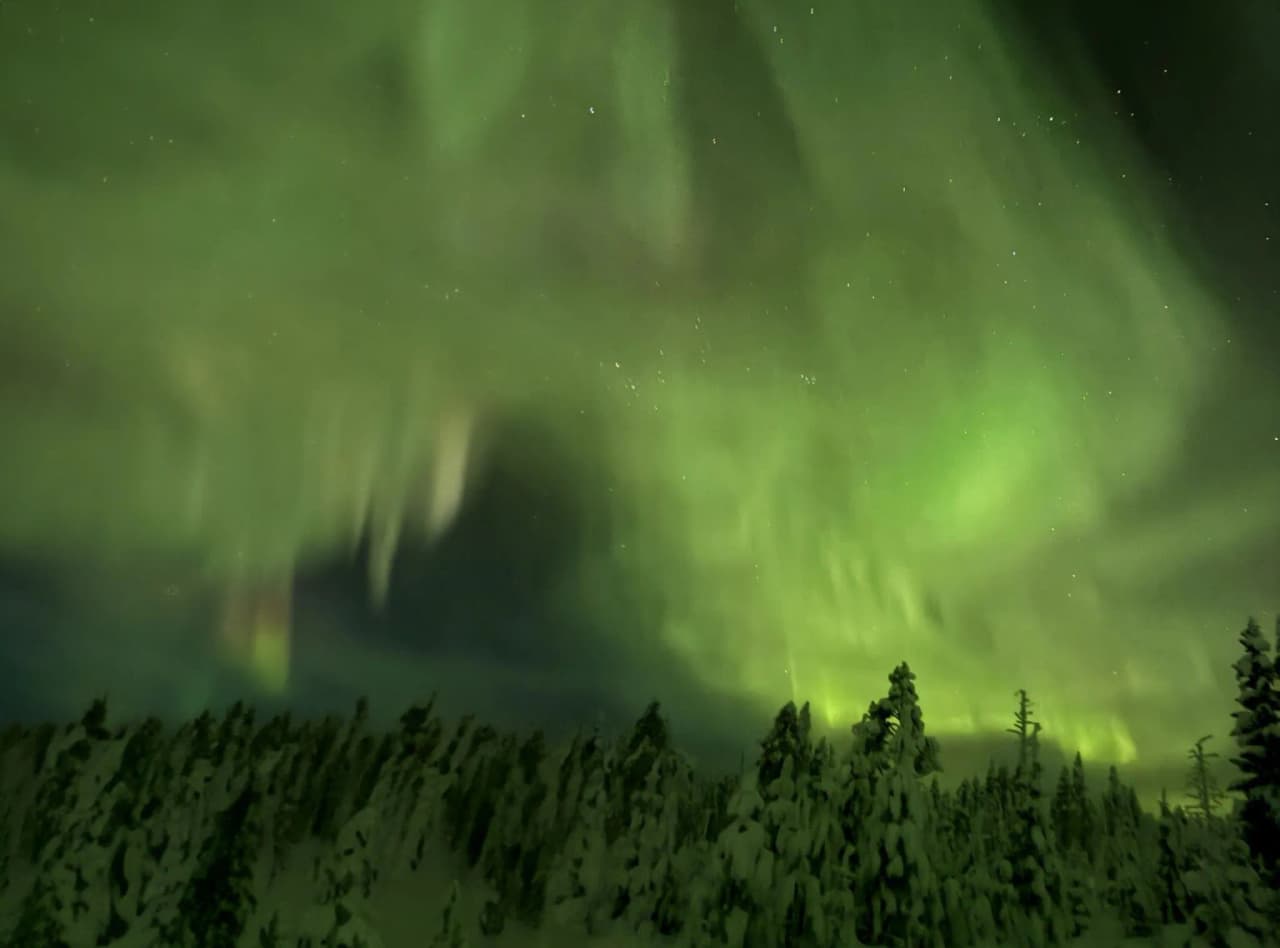 Een hemel verlicht door groen noorderlicht boven een besneeuwd bos in Lapland.