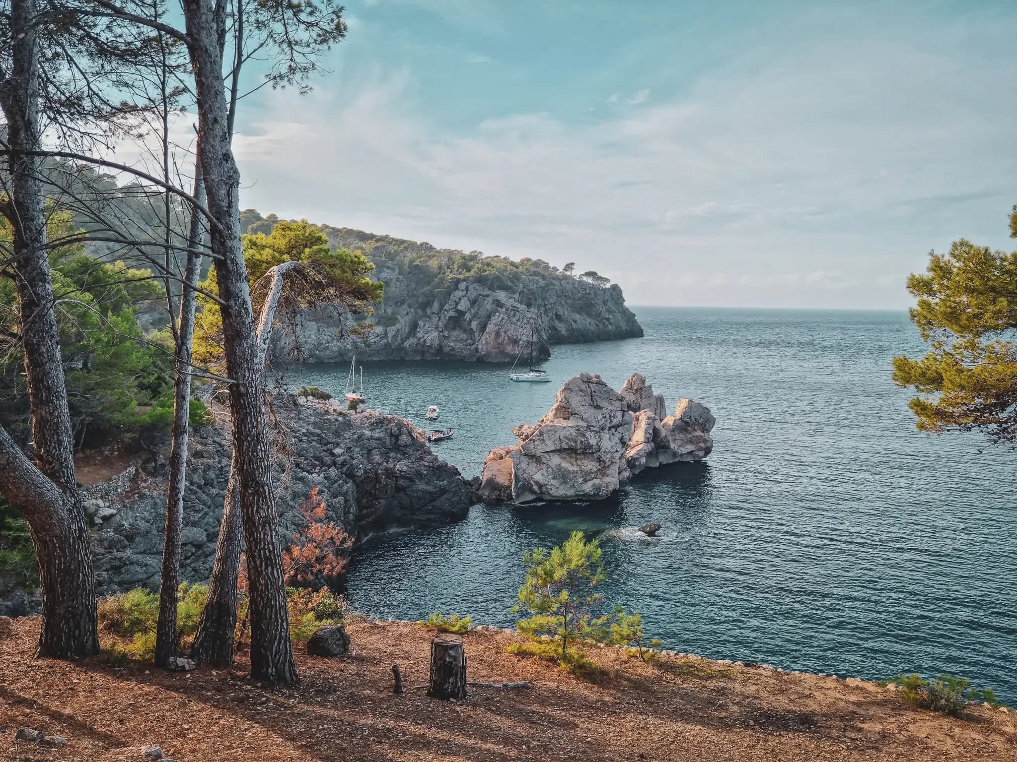 A serene coastal landscape in Majorca, with rocks and sailing boats in the distance, surrounded by pine trees.