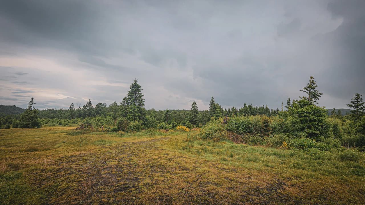 Prachtige groene vlaktes onder een bewolkte hemel, perfect voor buitenavonturen.