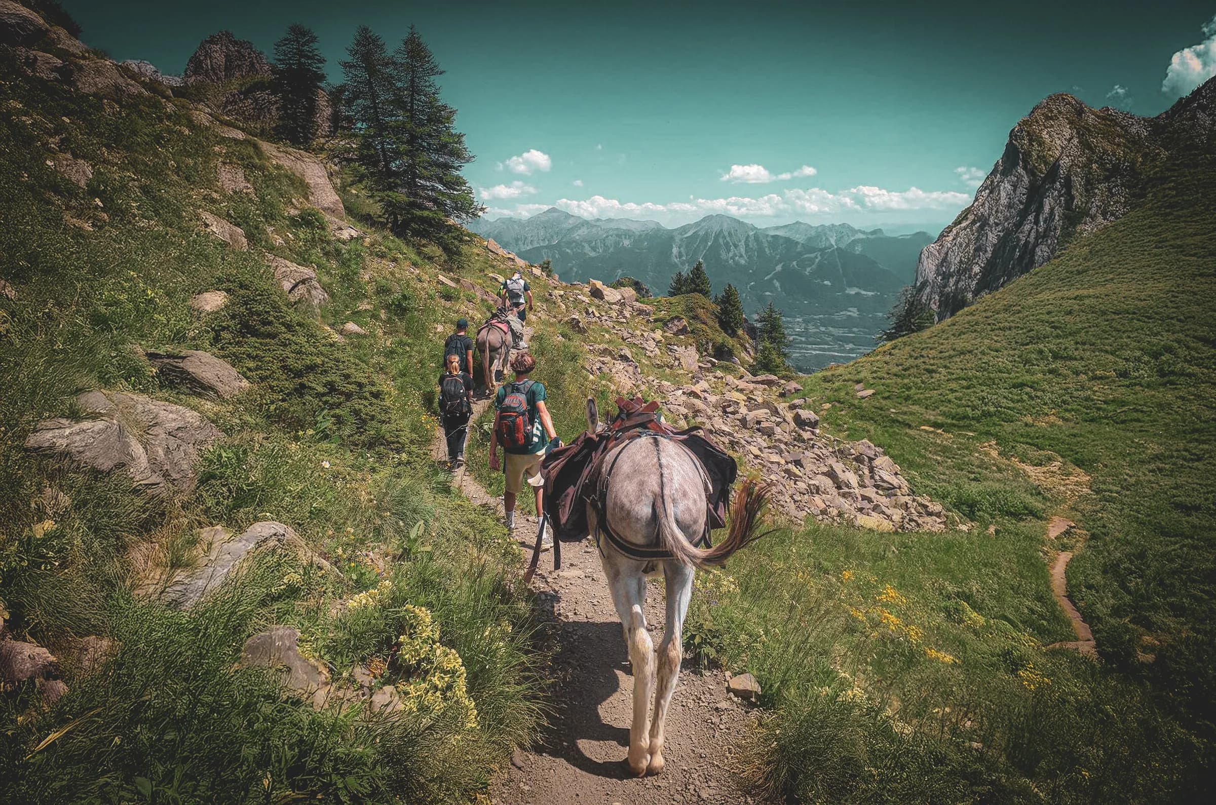 A group of hikers are walking along a mountain path, accompanied by horses. The surrounding landscape is green and rocky, with coniferous trees on the slopes. In the distance