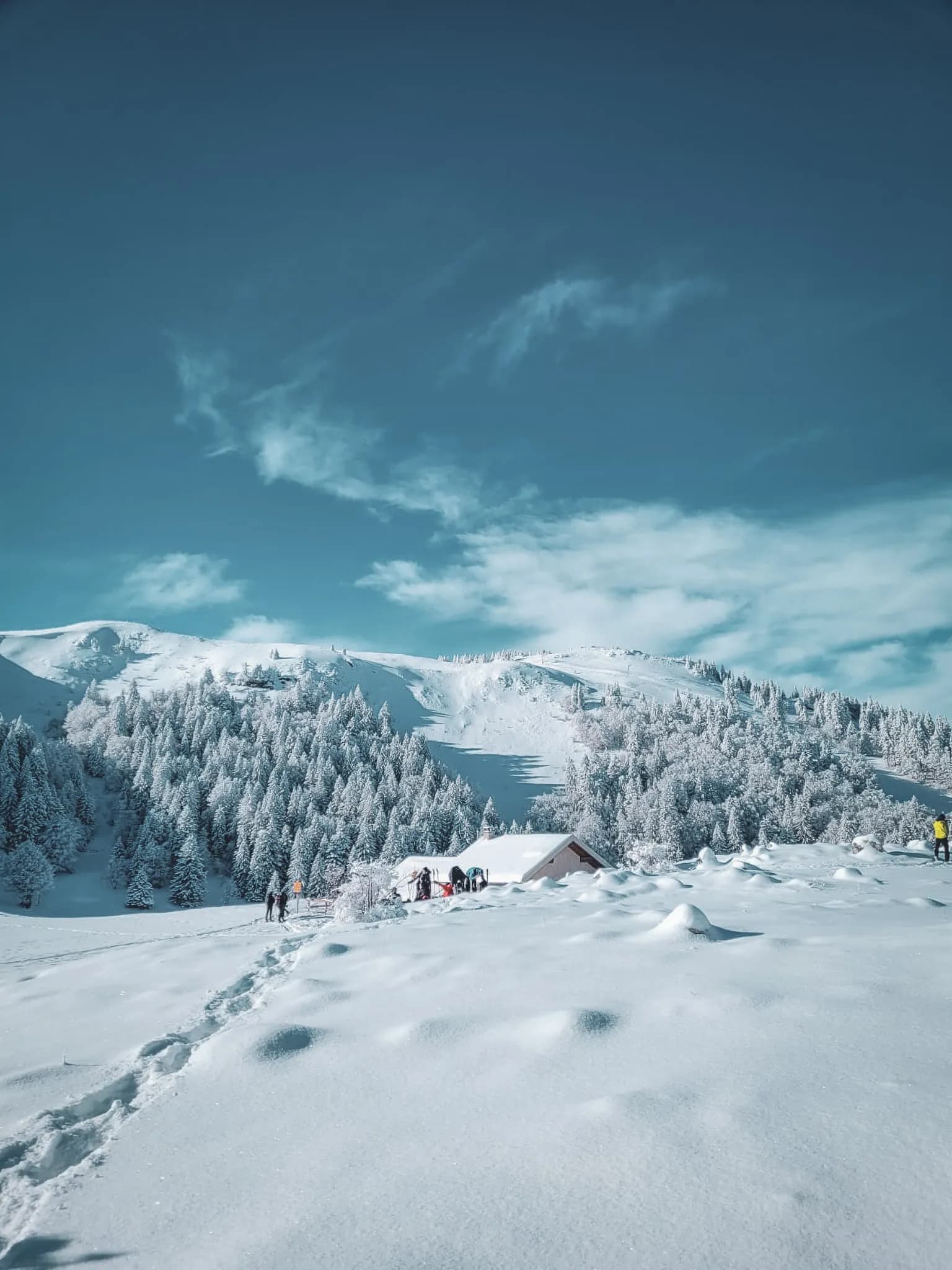 Een besneeuwd landschap in de Zwitserse Jura, met bossen, een gezellig Berghut en een stralend blauwe lucht.