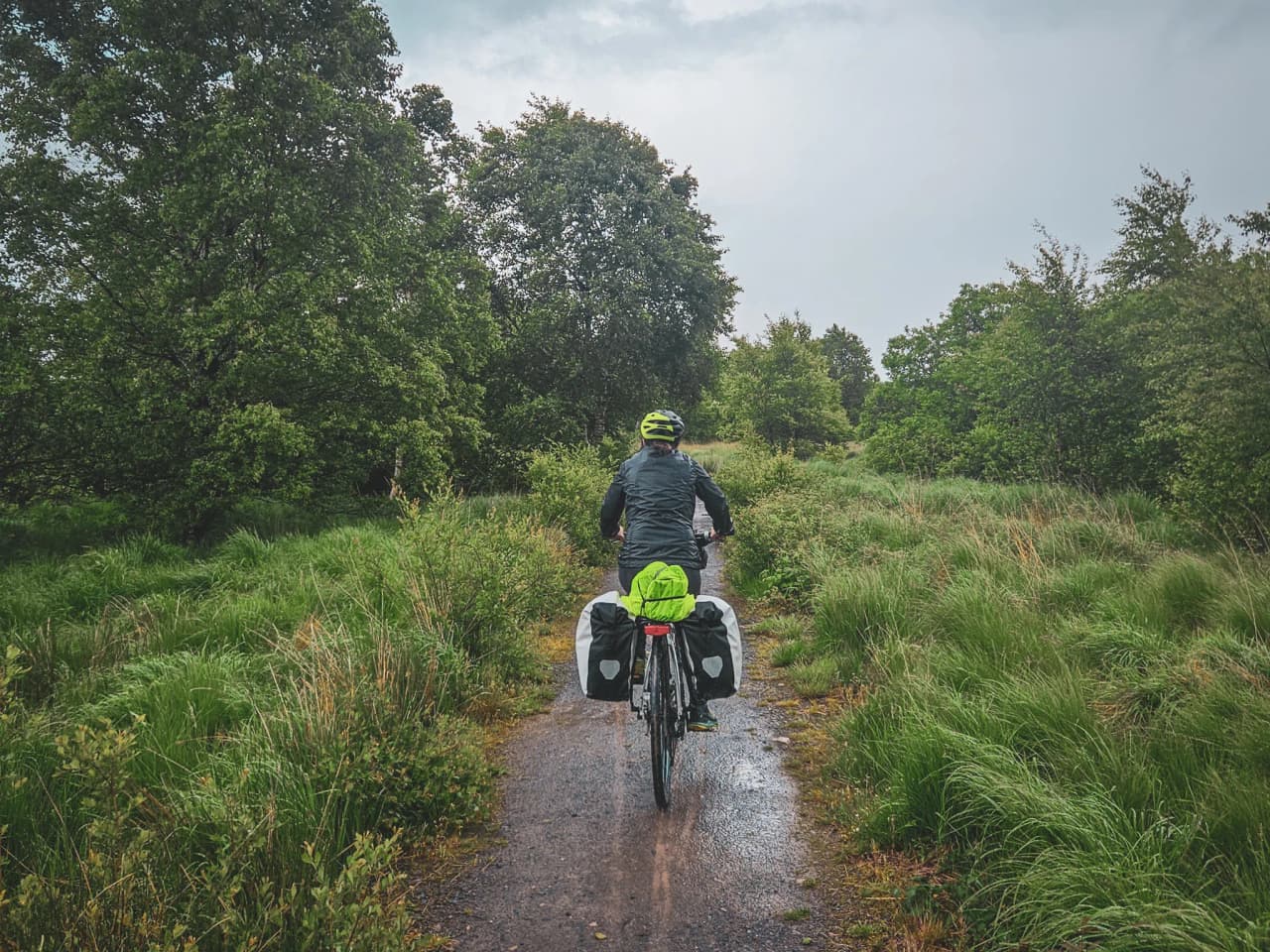 Un cycliste sous la pluie, entouré de verdure, pédale sur un chemin isolé dans les Hautes Fagnes.