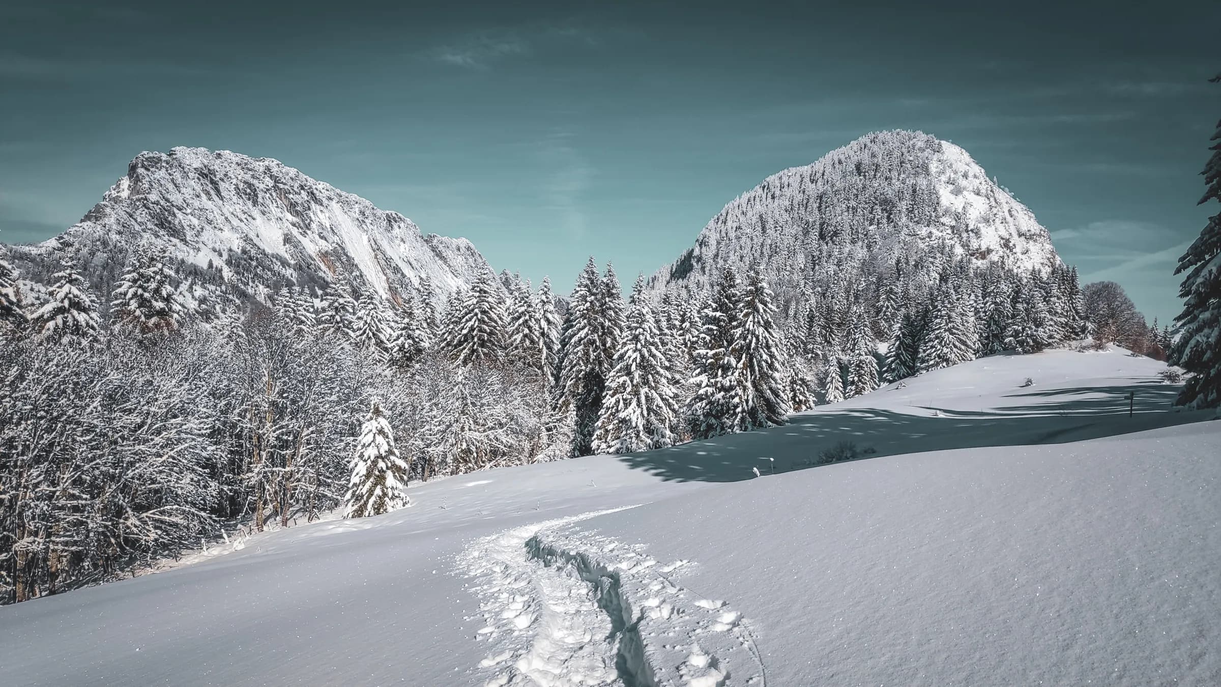 Panorama hivernal des Bauges, forêts enneigées et montagnes majestueuses, invitation à l'aventure.