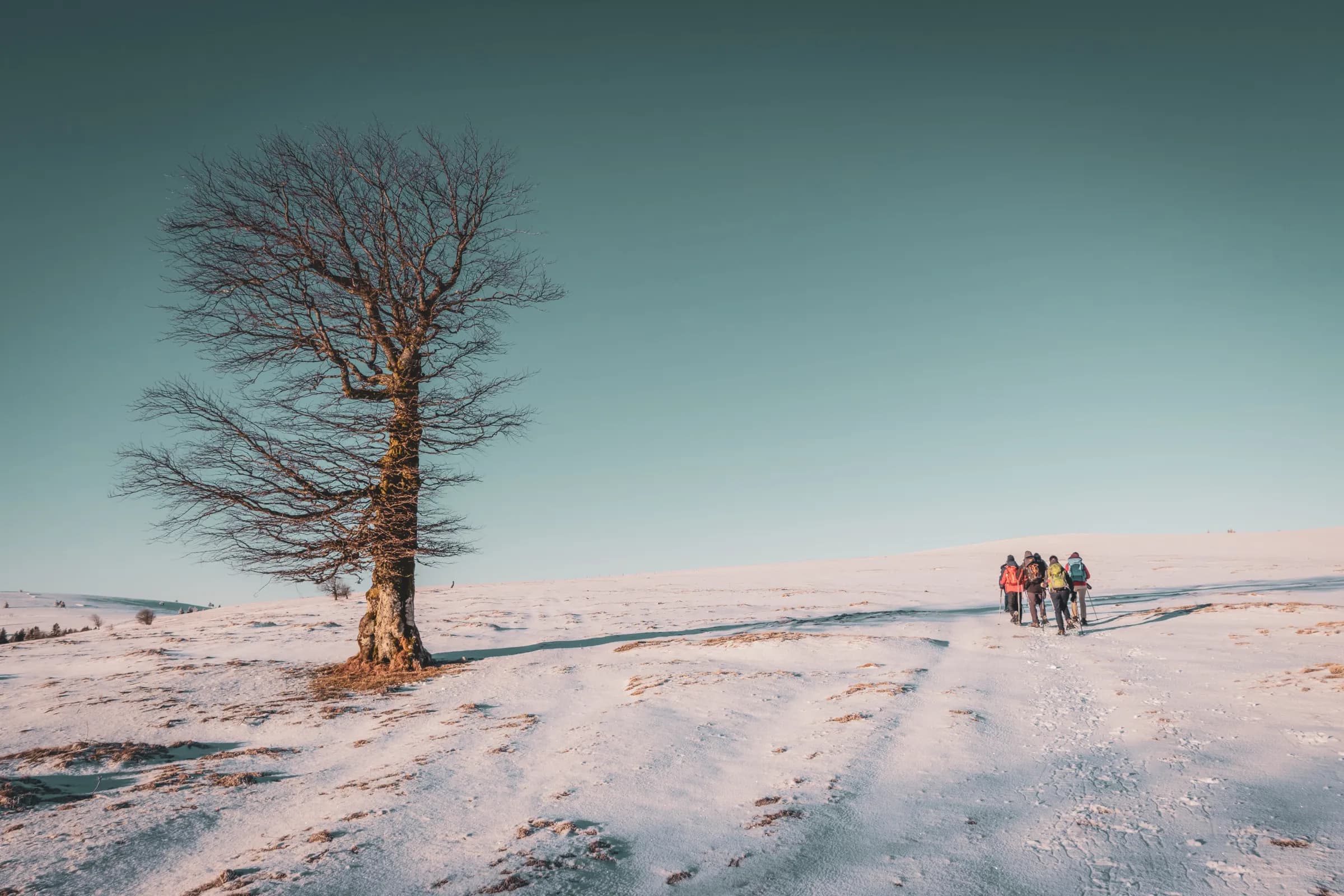 A snow-covered landscape with a bare tree on the left, standing on a hill. In the background, a group of people in hiking gear make their way along a snow-covered path, while the sky takes on a more sombre hue.