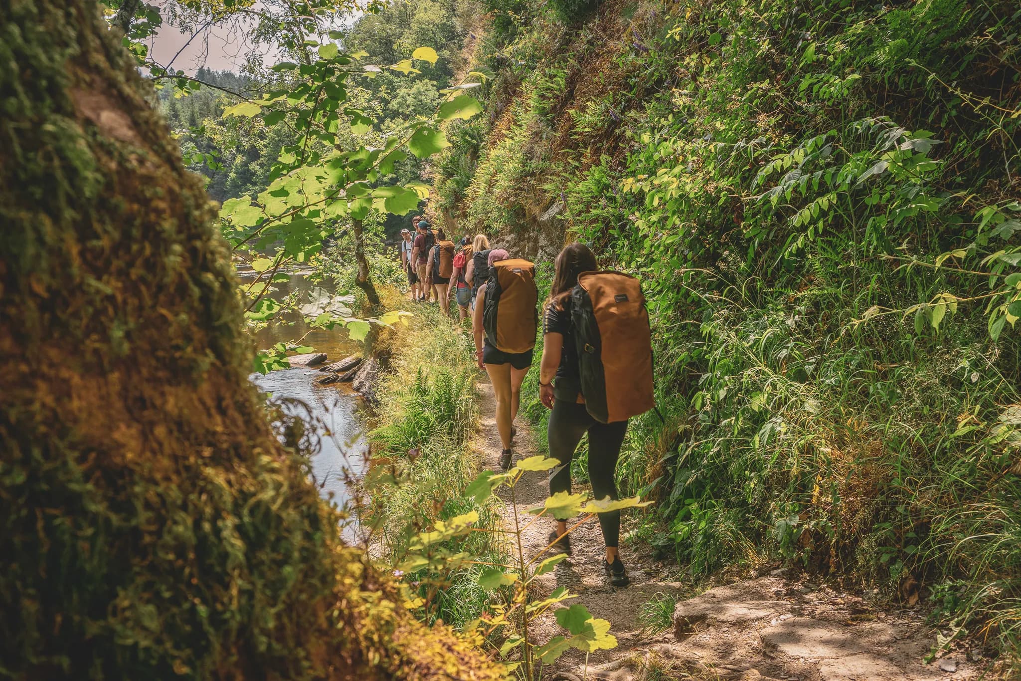 Een groep wandelaars baant zich een weg over een smal pad midden in de natuur, omzoomd door weelderig groene bomen en struiken. Het pad loopt langs een stuk water, wat een serene sfeer creëert. Bezoek