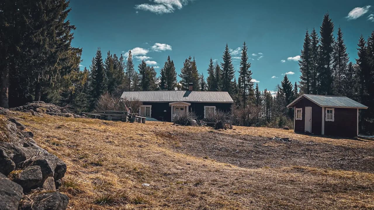 Chalet omringd door weelderige groene bossen onder een strakblauwe hemel, een uitnodiging voor avontuur in Lapland.