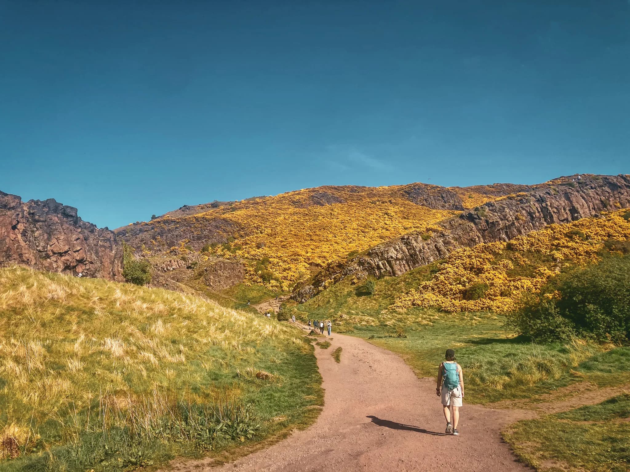 A hiker explores a winding path surrounded by green hills and flowers under a blue sky.