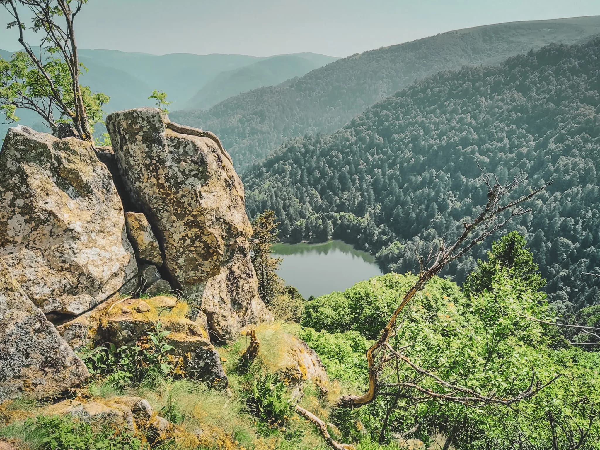 Panoramic view of the Vosges, with rocks and a lake surrounded by lush green forests. A natural escape.