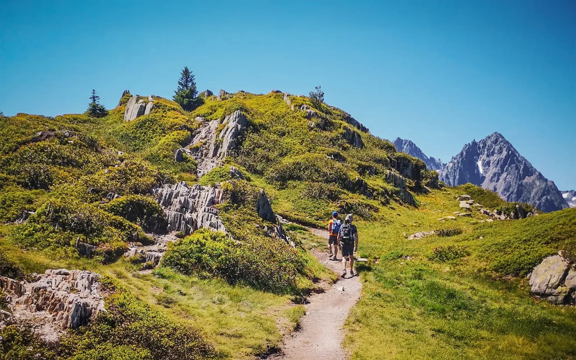 A winding path cuts through a green landscape, surrounded by hills covered in vegetation. Sparse boulders can be seen along the way, while groups of walkers make their way towards the hotel.