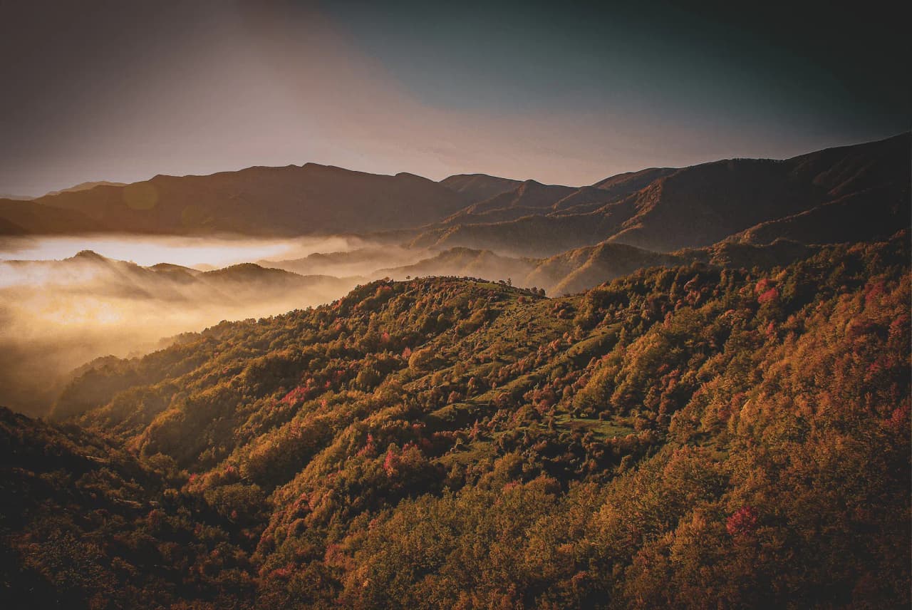 The Foreste de Casentinesi National Park, with its lush green hills dotted with trees in autumnal hues. The mist hangs peacefully between the valleys, creating a mystical atmosphere.