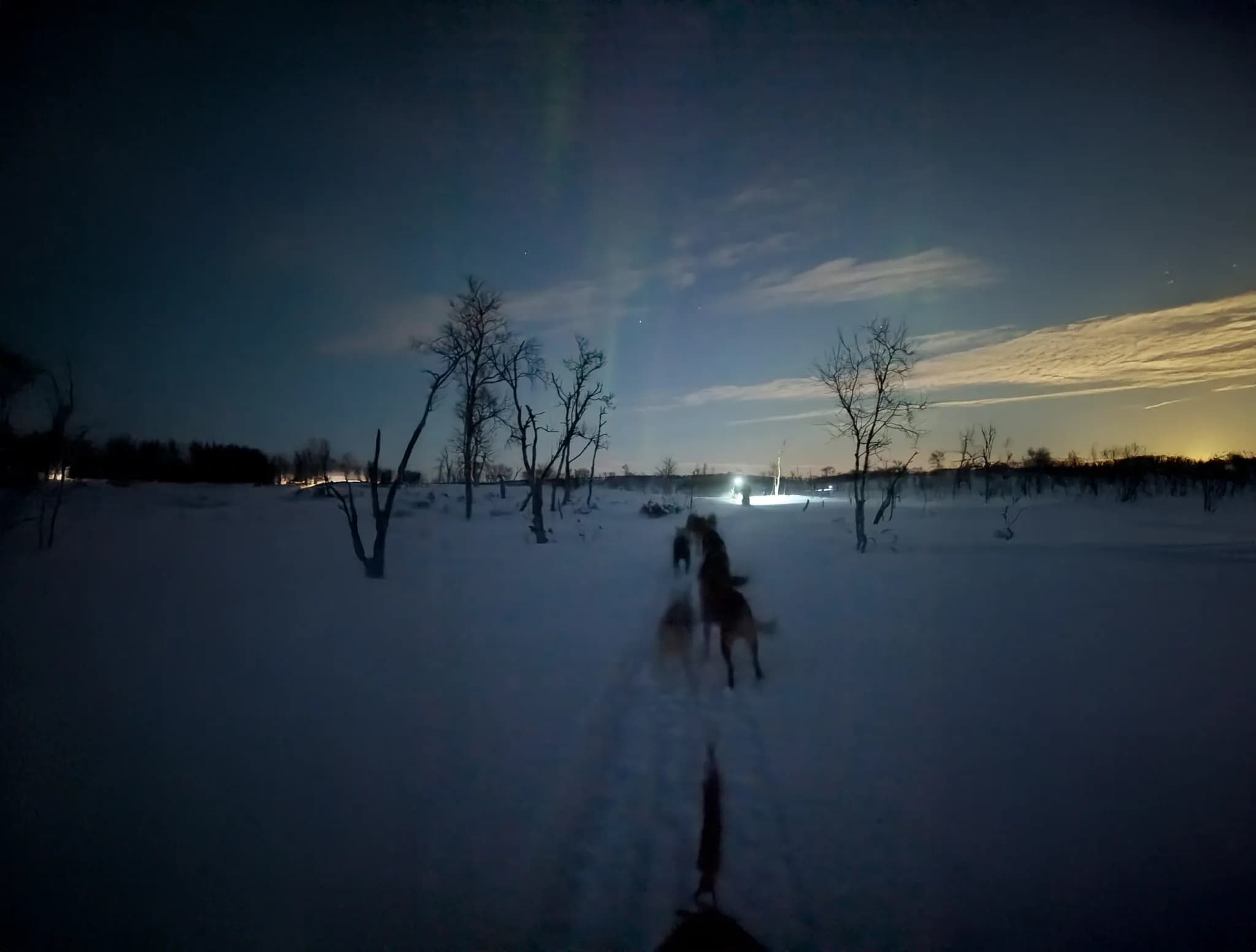 A snowy night landscape, with silhouettes of horses and riders moving slowly. Bare trees stand in the snow, while a distant glow illuminates the background.