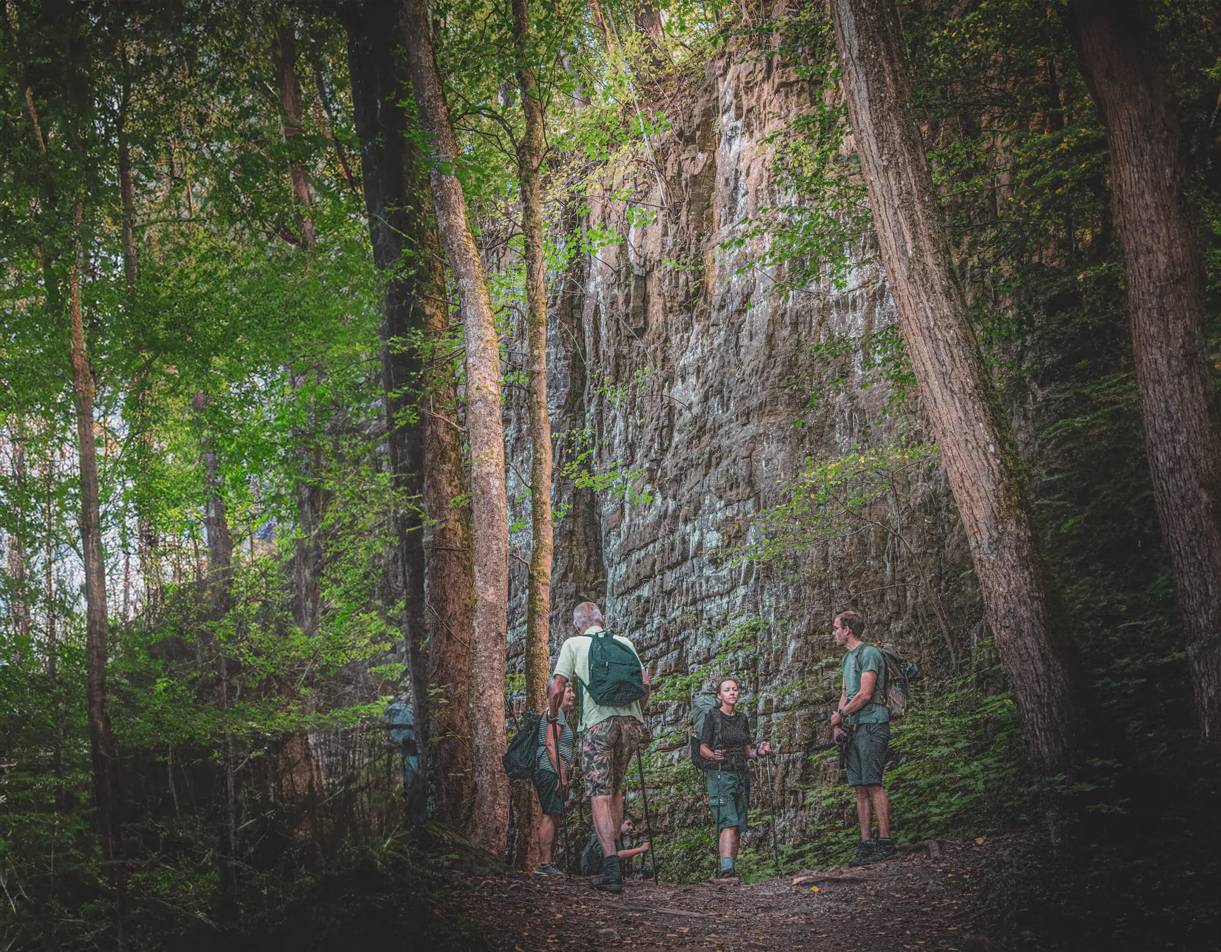 A group of four people are standing on a forest path, surrounded by tall trees and a natural stone wall in the background. The members of the group are wearing hiking clothes and carrying rucksacks. They appear to be engaged in