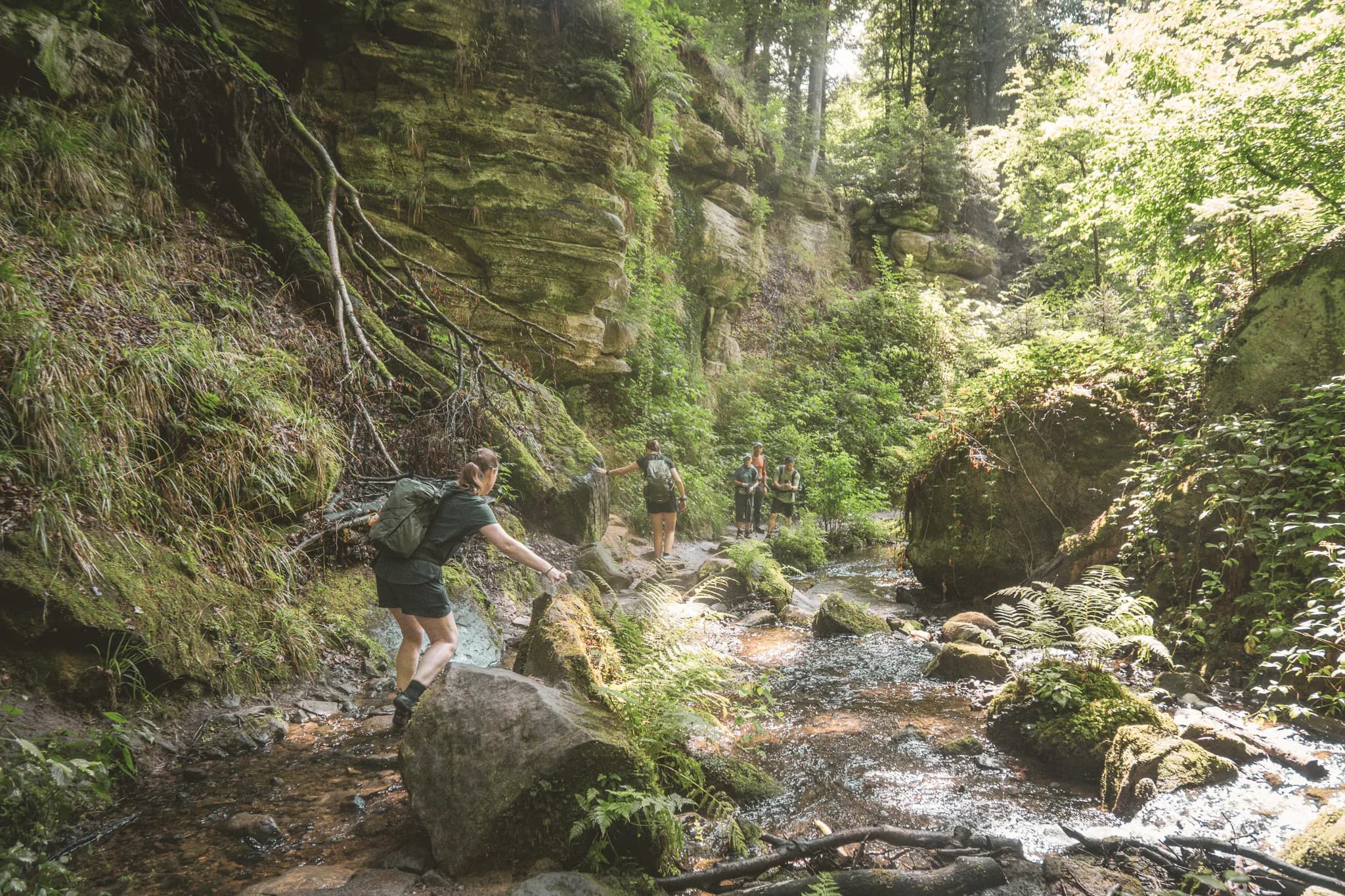 Hiking in Luxembourg's Little Switzerland, along enchanting paths beside a sparkling stream.