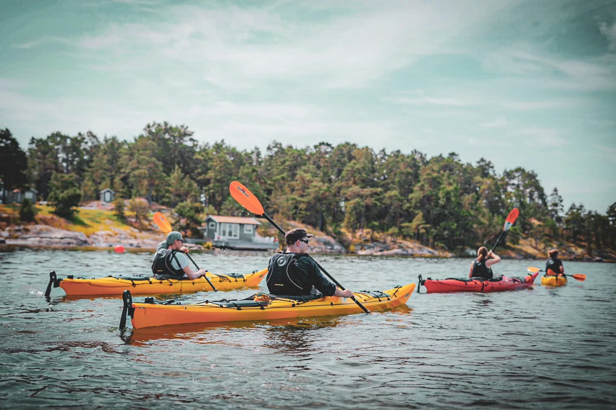 Yellow kayaks and a red one float on a calm stretch of water, while several people paddle. In the background, a dense pine forest rises up, adding a touch of wilderness. Huts