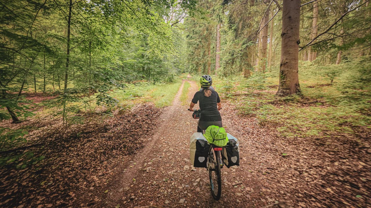 Een fietser verkent een bospad in de Hoge Venen, omgeven door rustgevend groen.