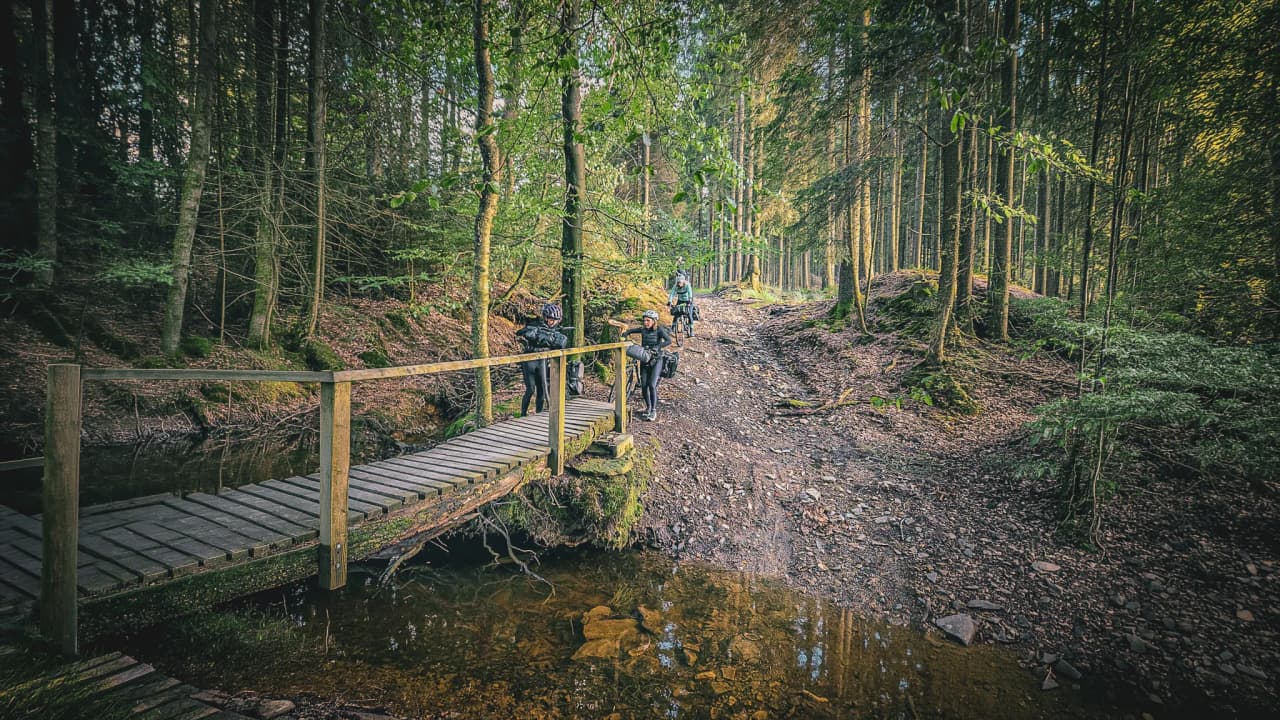 Fietsavontuur in het bos, op een kronkelig pad met een houten brug, vredige sfeer.
