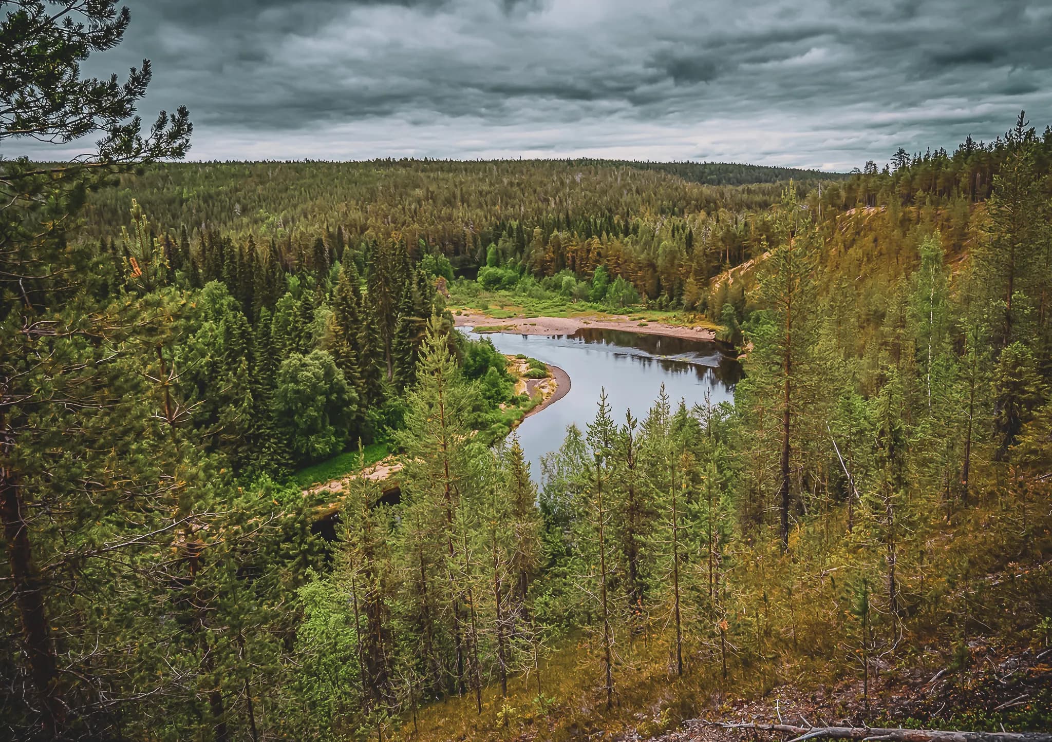 A natural landscape with a winding river surrounded by dense forests. The river, calm and reflective, winds its way through the lush greenery of the trees, while wooded hills rise up to the horizon.