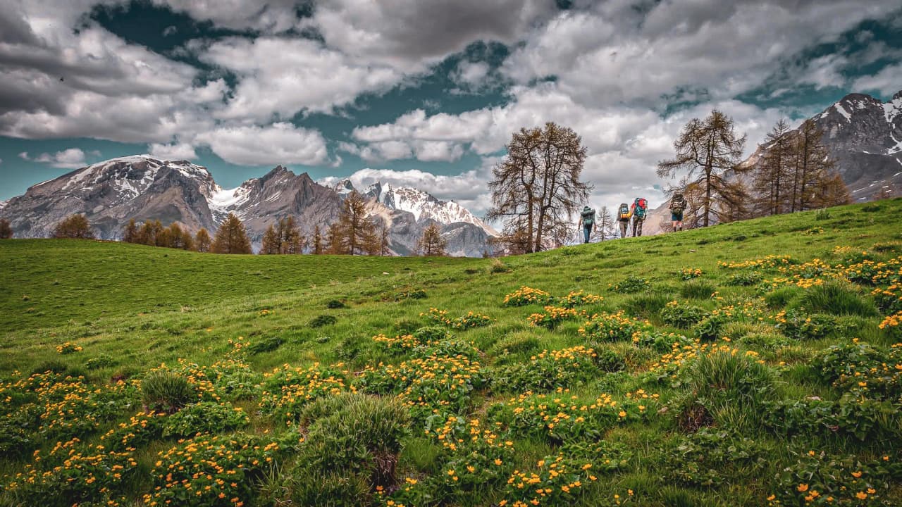 Randonneurs traversant un paysage verdoyant, entouré de montagnes majestueuses et de fleurs colorées.