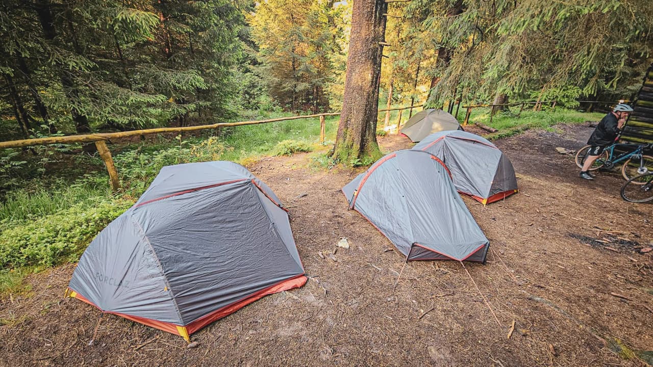 Rustige camping in een bos in de Hoge Venen, tenten omgeven door groen en schaduw.
