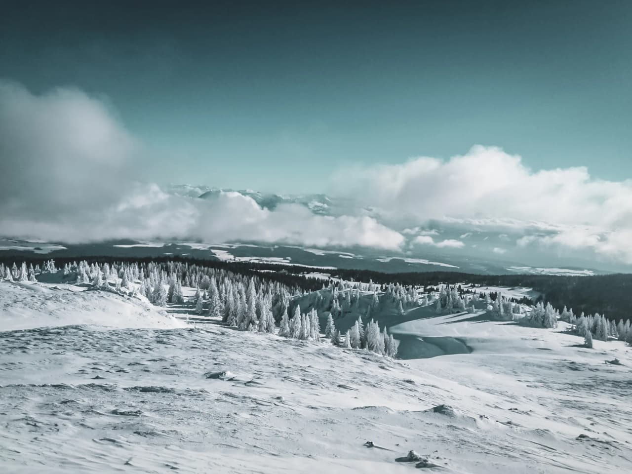 Paysage hivernal du Jura, avec des forêts enneigées et un ciel d'azur, invitant à l'aventure.