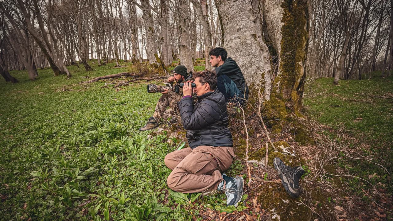 Drie avonturiers gaan op zoek naar wolven in het groene landschap van de Vercors.