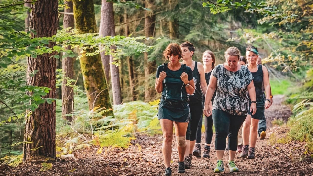 A group of hikers walking through a green forest, surrounded by trees and soft light.