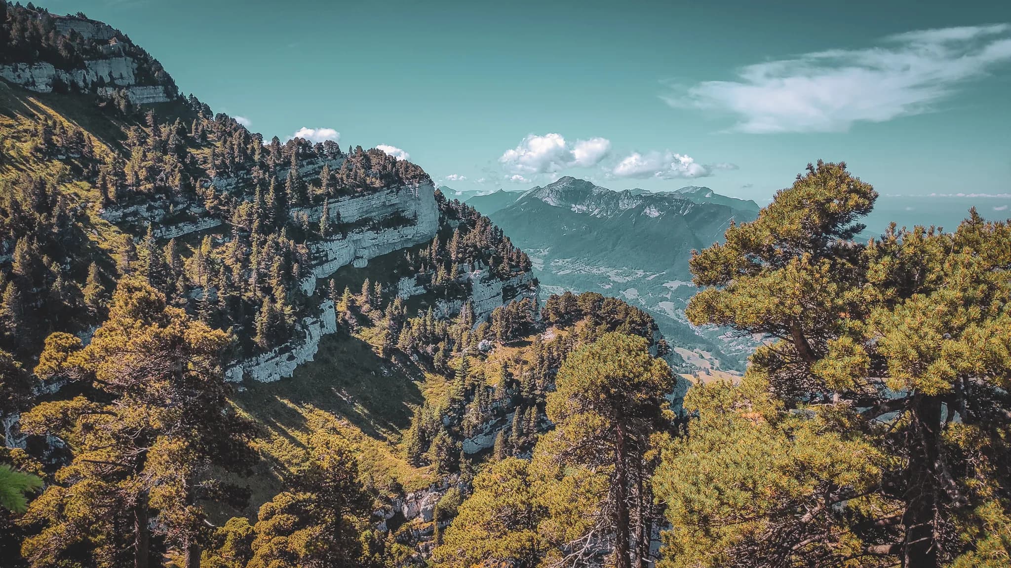 Un paysage de montagne avec des falaises escarpées et une dense forêt de conifères. Les sommets montagneux s'étendent à l'arrière-plan, se découpant contre un ciel bleu parsemé de nuages blancs.