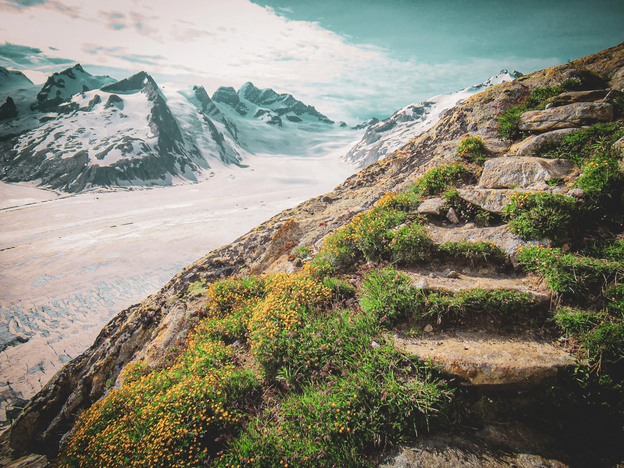 A stone path winds along a steep slope, lined with green plants and yellow flowers. In the background, a vast glacial valley stretches out.