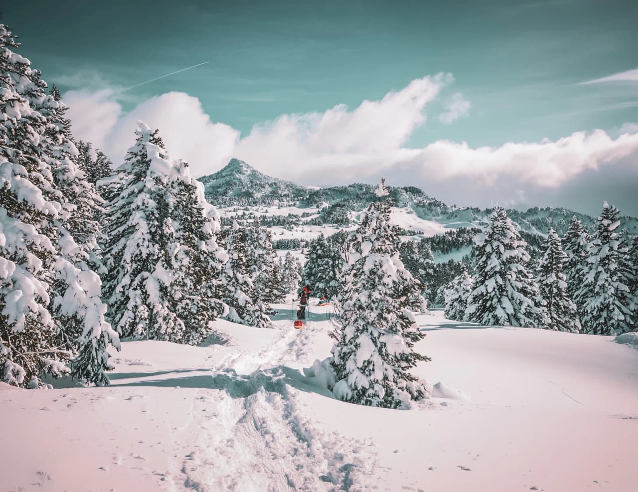 Paysage hivernal enchanteur, raquettes aux pieds, arbres enneigés et montagnes majestueuses en arrière-plan.