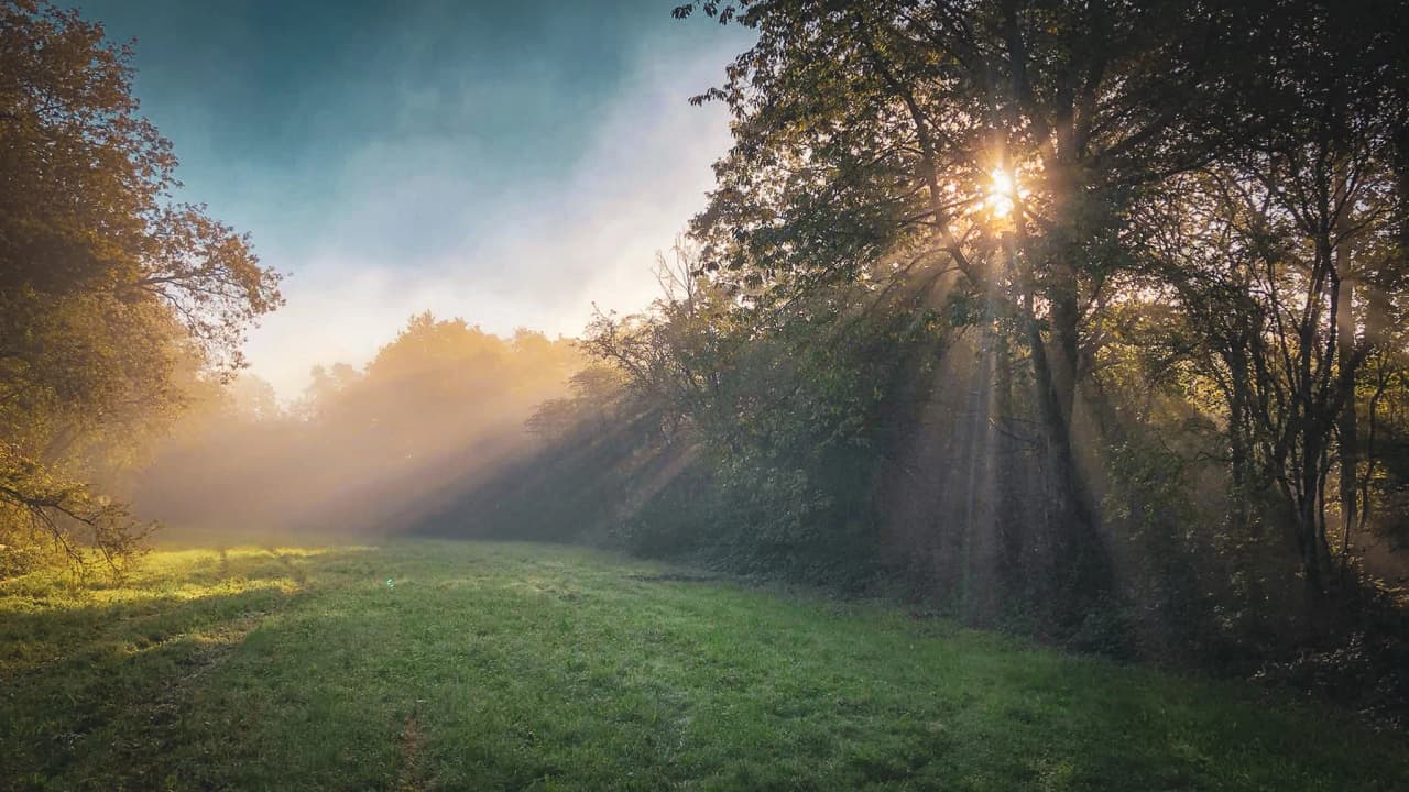 Doux rayon de soleil perçant une brume matinale dans un champ verdoyant, invitation à l'aventure.
