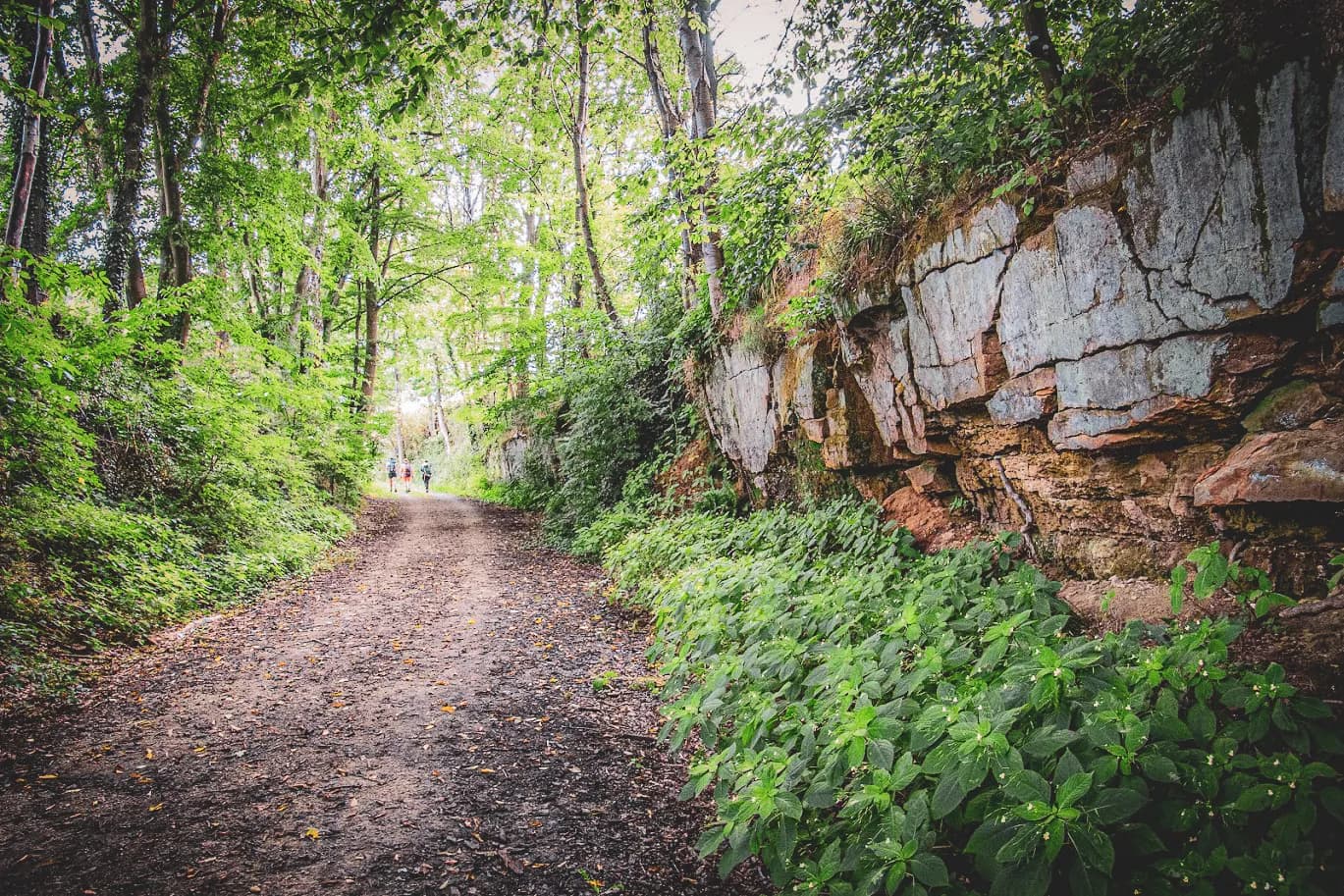 A dirt path winds through dense forest, surrounded by lush green trees and plants. To the right, a rock face dominates the landscape, while in the distance, hikers