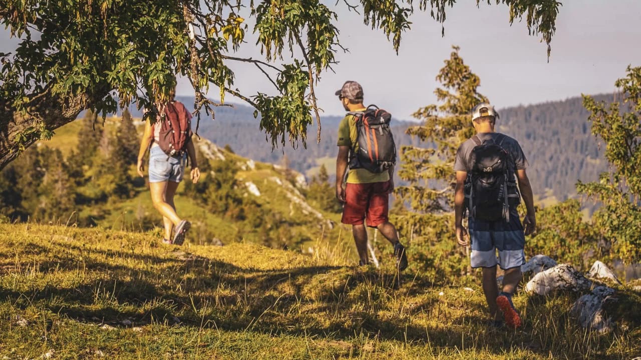 A group of hikers on a green ridge, enjoying panoramic views of the countryside.