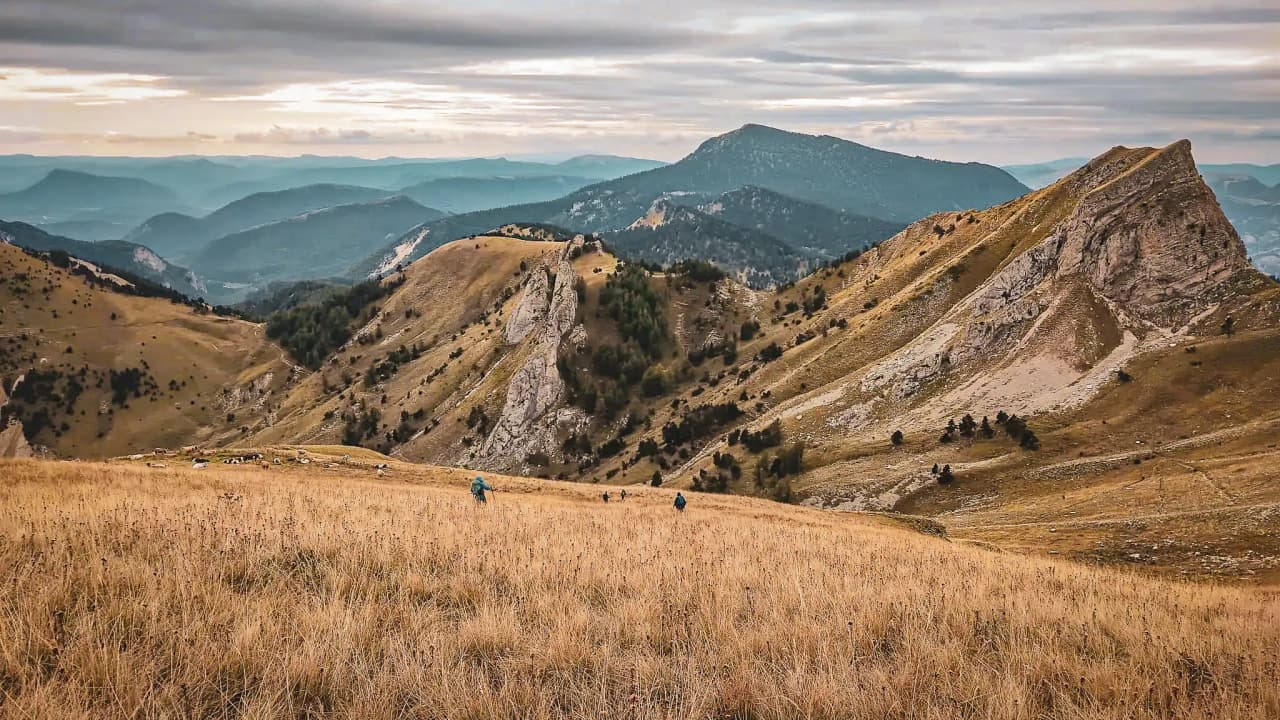 Een Devoluy berglandschap met wandelaars in het gouden gras en majestueuze bergen.